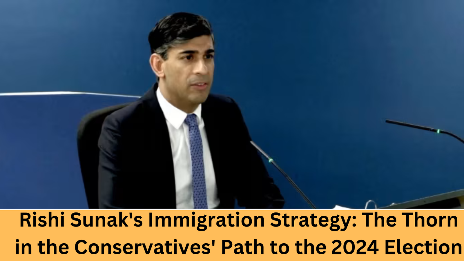 Rishi Sunak's Immigration Strategy